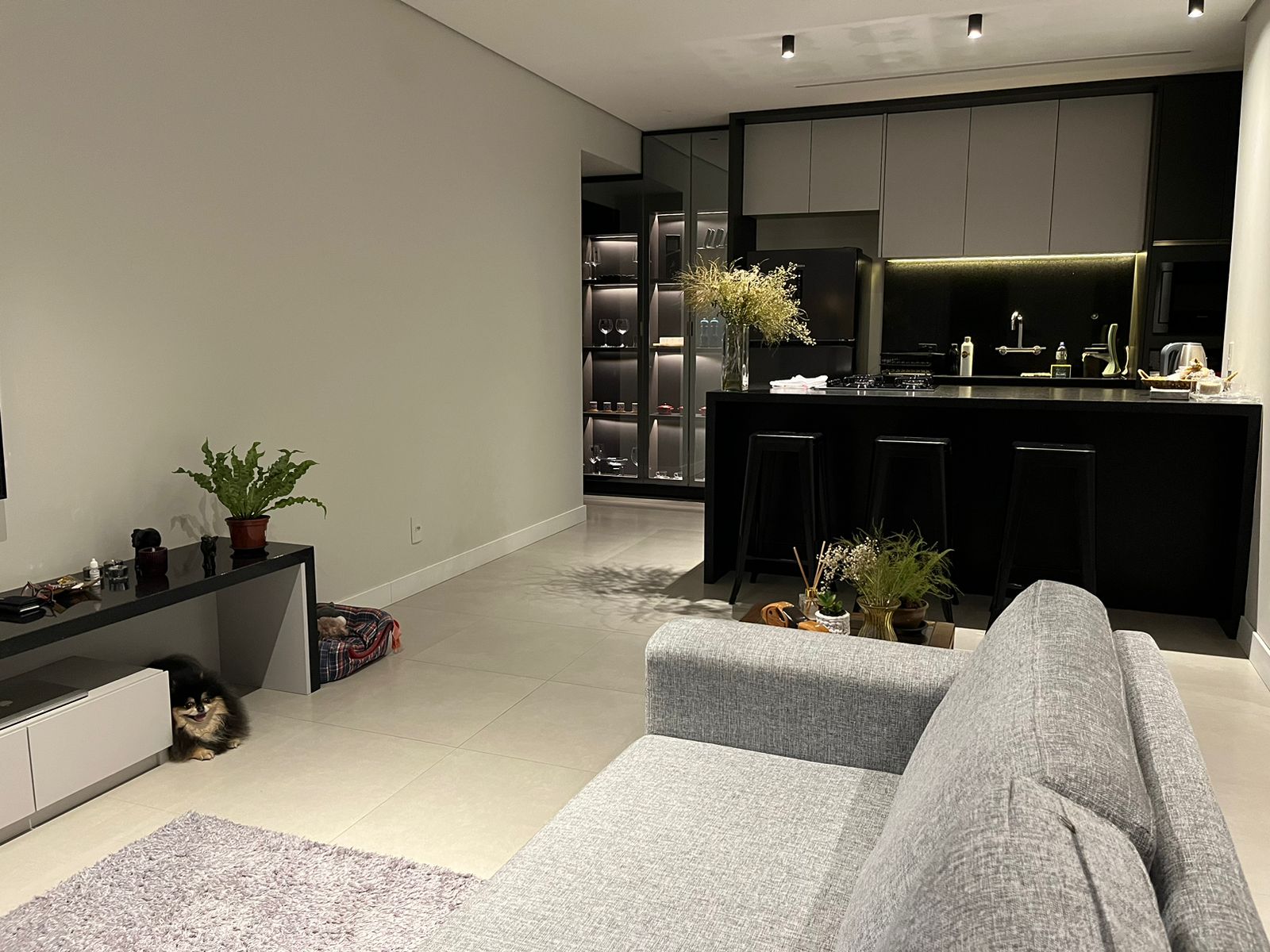 foto do anúncio Freedom Palhano- Apt. Gleba Palhano