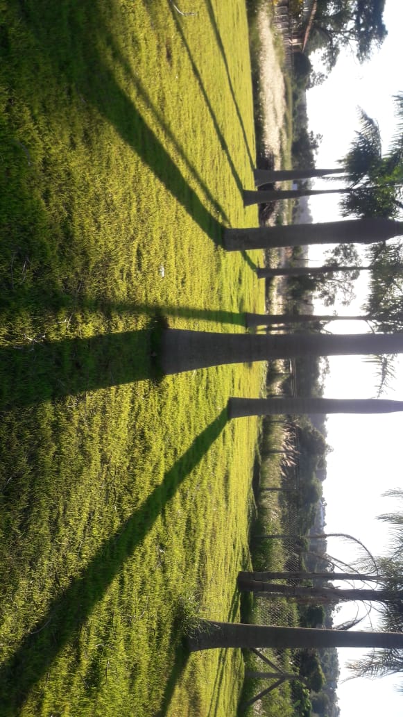 foto do anúncio Chacára 2030 m2  próximo a Condomínios Horizontas - Ótima Localização.