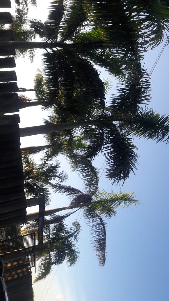 foto do anúncio Chacára 2030 m2  próximo a Condomínios Horizontas - Ótima Localização.