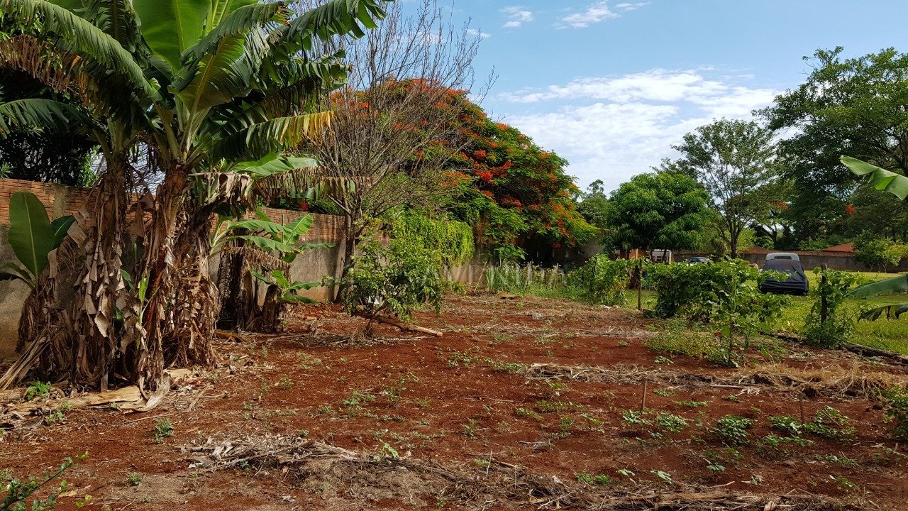 foto do anúncio Chácara com 5.000 m² à Venda no Cafezal 1  (11560)