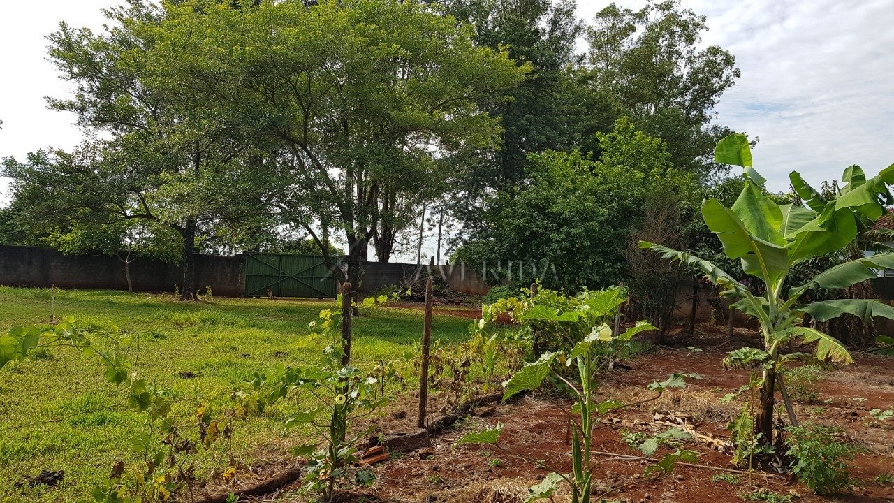 foto do anúncio Chácara com 5.000 m² à Venda no Cafezal 1  (11560)