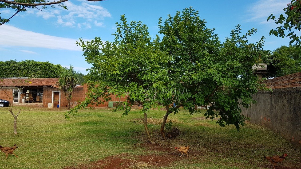 foto do anúncio Chácara com 5.000 m² à Venda no Cafezal 1  (11560)
