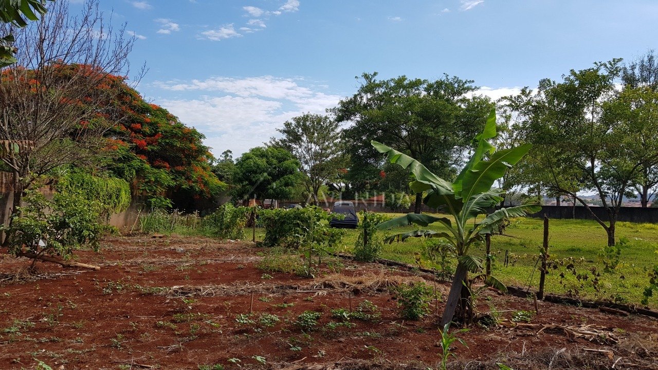 foto do anúncio Chácara com 5.000 m² à Venda no Cafezal 1  (11560)