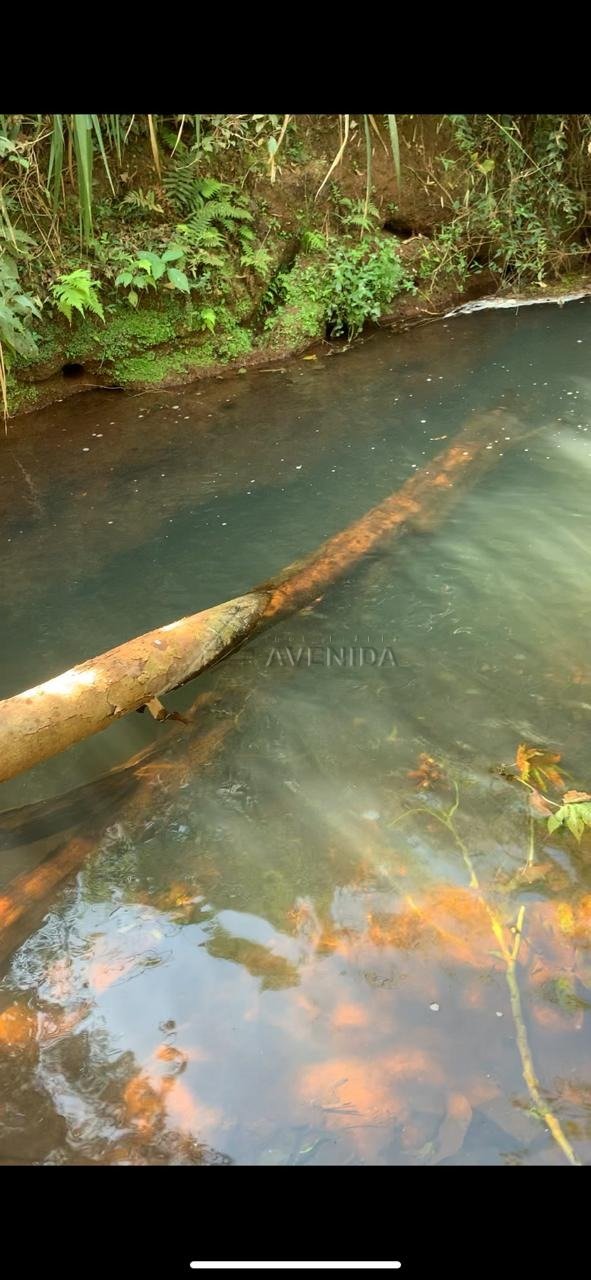 foto do anúncio Área Rural com 4.399 m² à Venda – Região da Usina 3 Bocas, Londrina (12260)