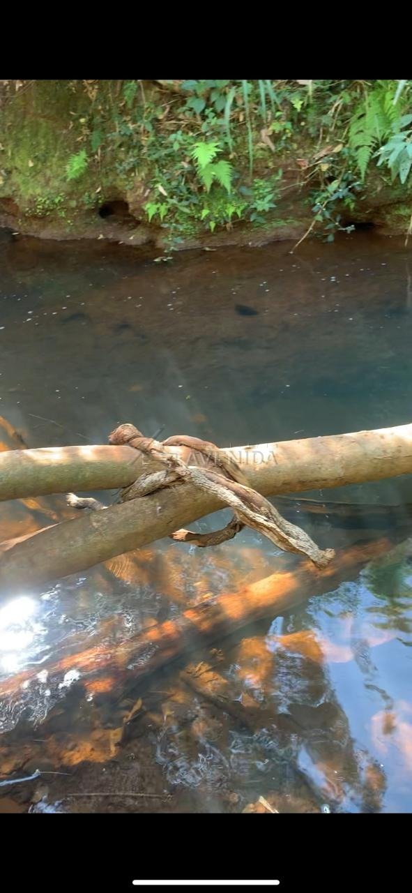 foto do anúncio Área Rural com 4.399 m² à Venda – Região da Usina 3 Bocas, Londrina (12260)