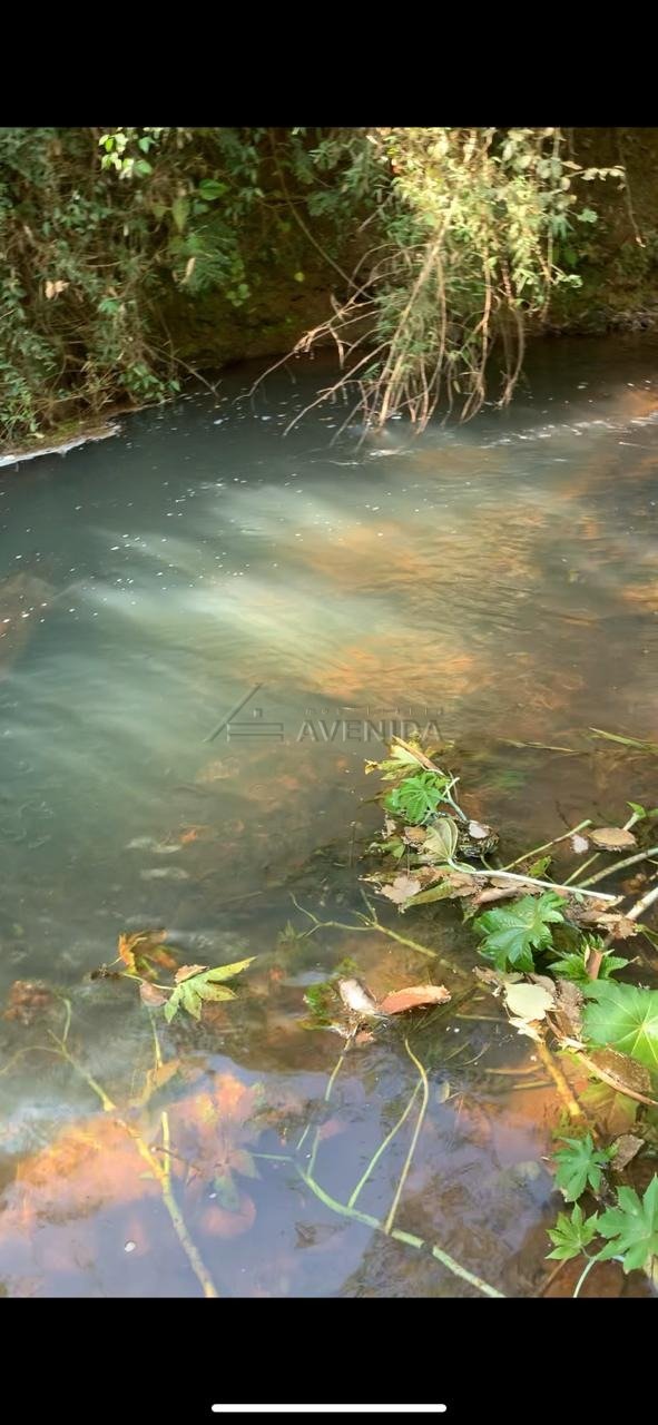 foto do anúncio Área Rural com 4.399 m² à Venda – Região da Usina 3 Bocas, Londrina (12260)