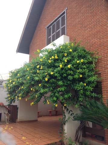 foto do anúncio | Casa | Mediterrâneo | à venda | 4 quartos | 5 vagas | Londrina