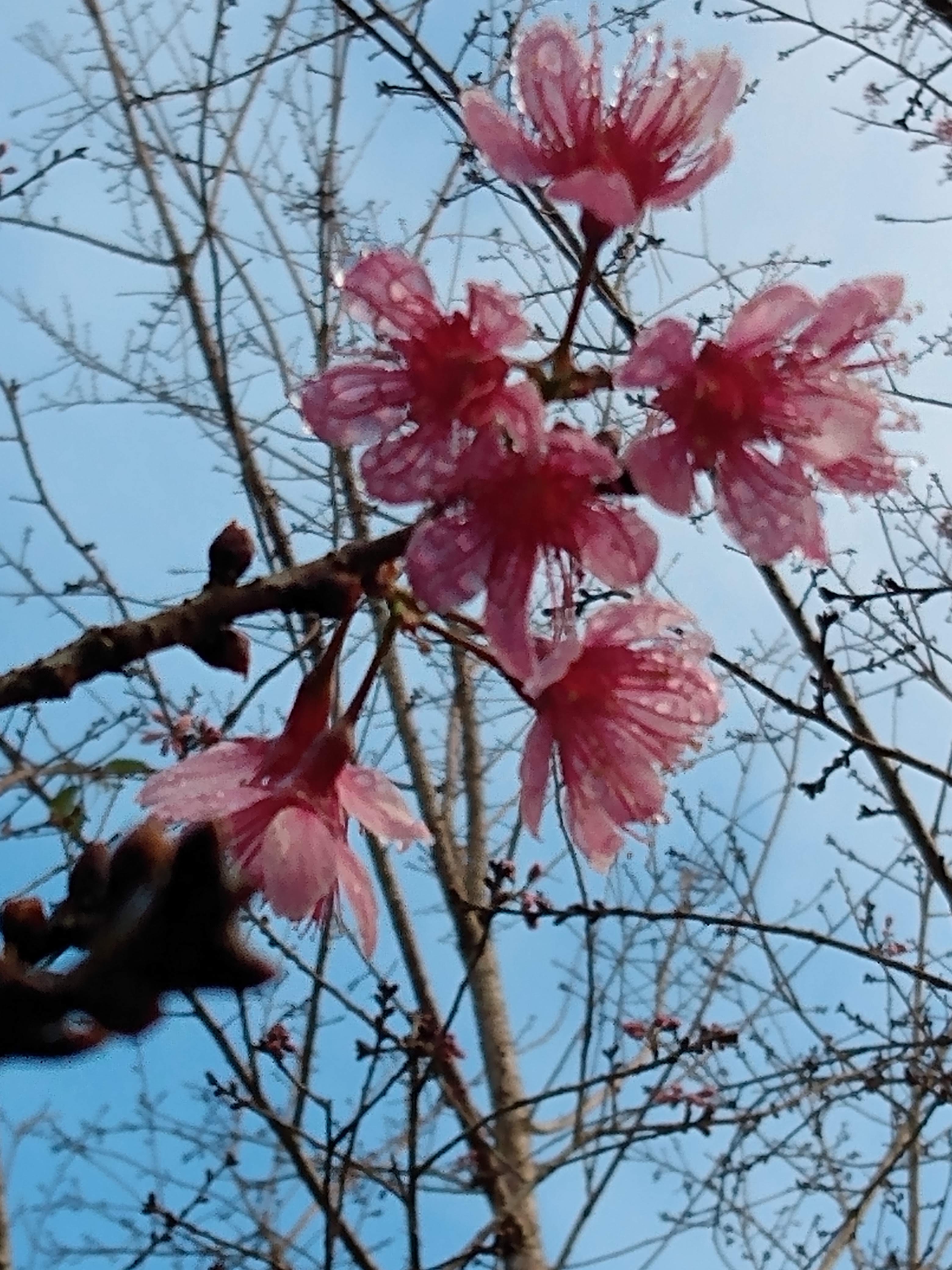 foto do anúncio Belíssimo Sítio de Montanhas 